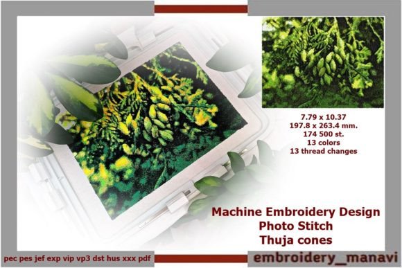Embroidery Photo Stitch Thuja Cones Review
